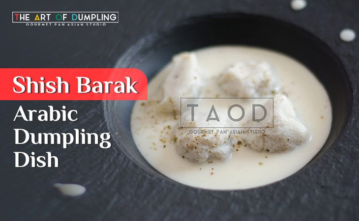  Shish Barak: Arabic Dumpling Dish You Can’t Miss